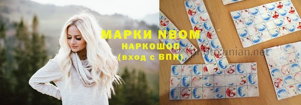 сатива Армянск